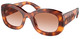 Cognac Tortoise / Cognac Sfumato Nin