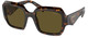 Sage / Honey Tortoise / Dark Brown