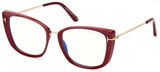 Tom Ford Eyeglasses FT5816-B 074