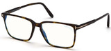 Tom Ford Eyeglasses FT5696-B 052