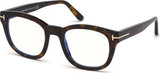 Tom Ford Eyeglasses FT5542-B 052