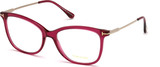 Tom Ford Eyeglasses FT5510 081