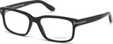 Tom Ford Eyeglasses FT5313 002