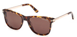 Tom Ford Sunglasses FT1104 52E