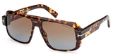 Tom Ford Sunglasses FT1101 52F