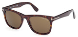 Tom Ford Sunglasses FT1099 52J