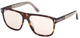 Tom Ford Sunglasses FT1081 52E