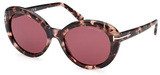 Tom Ford Sunglasses FT1009 55Y