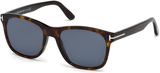 Tom Ford Sunglasses FT0595 52D