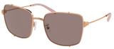 Tory Burch Sunglasses TY6104 33537N