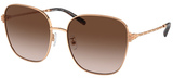 Tory Burch Sunglasses TY6108 335313