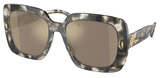 Tory Burch Sunglasses TY7193F 19405A