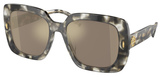 Tory Burch Sunglasses TY7193U 19405A