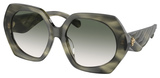 Tory Burch Sunglasses TY7195F 19562A