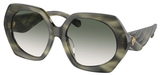 Tory Burch Sunglasses TY7195U 19562A