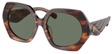 Tory Burch Sunglasses TY7195U 19553H