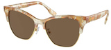 Tory Burch Sunglasses TY7199 194973