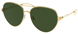 Tory Burch Sunglasses TY6098 335171