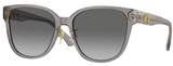 Versace Sunglasses VE4460D 540611