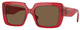 Transparent Red / Dark Brown