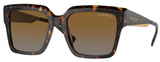 Dk Havana / Gradient Brown Polarized