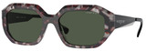 Grey Tortoise / Dk Green Polarized