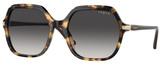 Vogue Sunglasses VO5561S 26058G