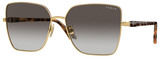 Vogue Sunglasses VO4199S 51988G