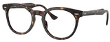 Ray-Ban Eyeglasses RX5598 Eagleeye 2012