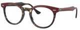 Ray-Ban Eyeglasses RX5598 Eagleeye 8250