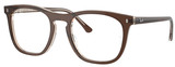 Ray-Ban Eyeglasses RX2210V 8365