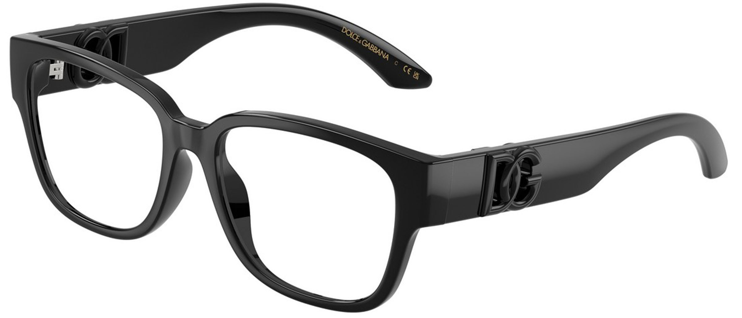 Dolce Gabbana DX5006 501