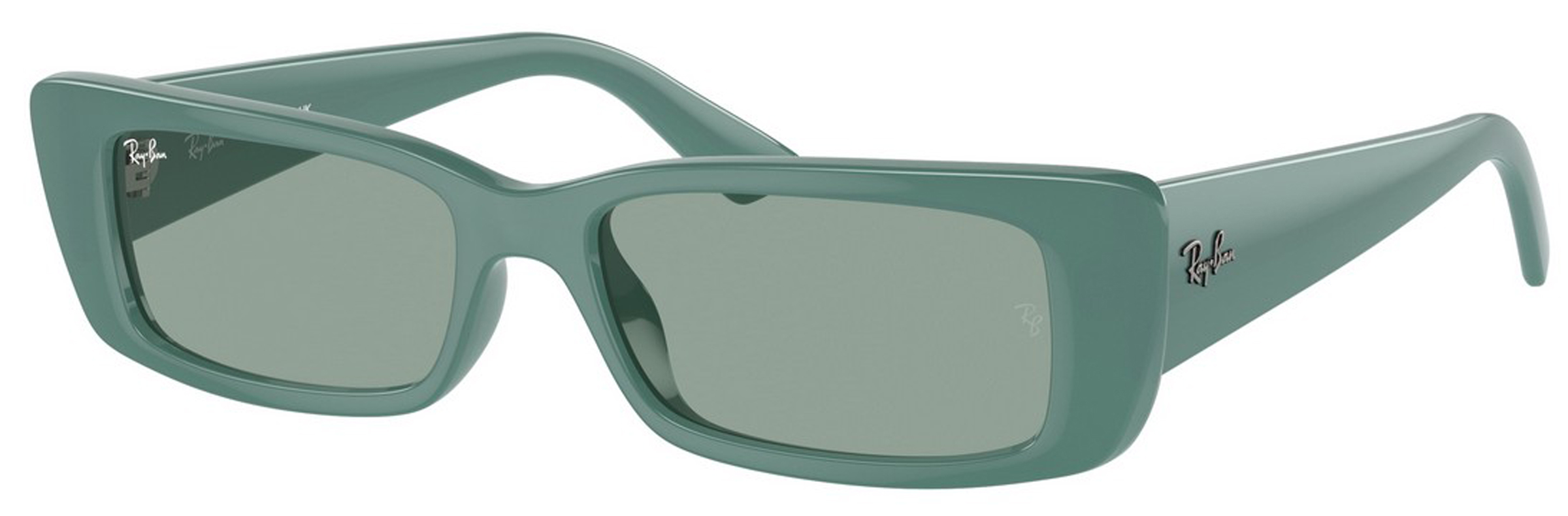 Ray-Ban RB4425 Teru 676282