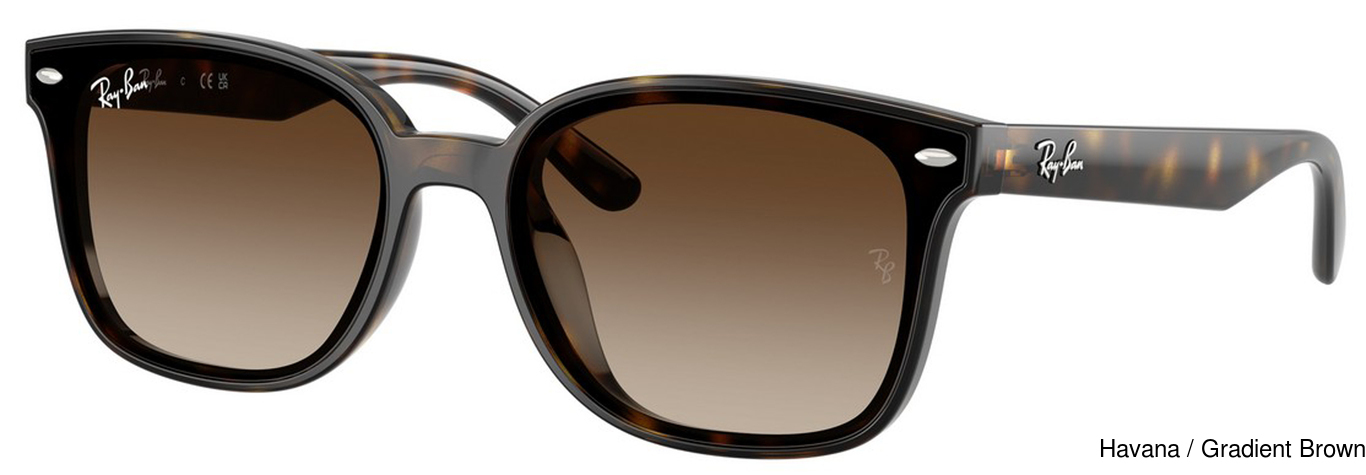 Ray-Ban RB4461D 710/13 view 3