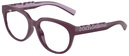 Dolce Gabbana DX5007U 3360