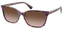 (Ralph) Ralph Lauren RA5348U 630313