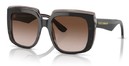 Dolce Gabbana DG4414F 502/13