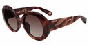 Roberto Cavalli SRC010M 02BV