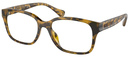 (Ralph) Ralph Lauren RA7155U 5836
