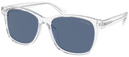 (Ralph) Ralph Lauren RA5313U 500280
